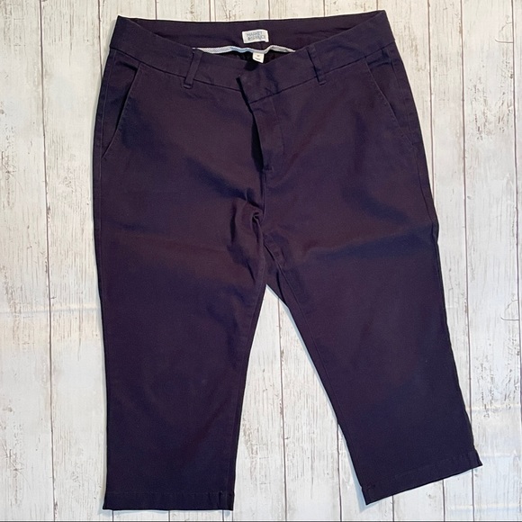 Market & Spruce Navy Capri Pants- Stitch Fix 16 W - Picture 2 of 7